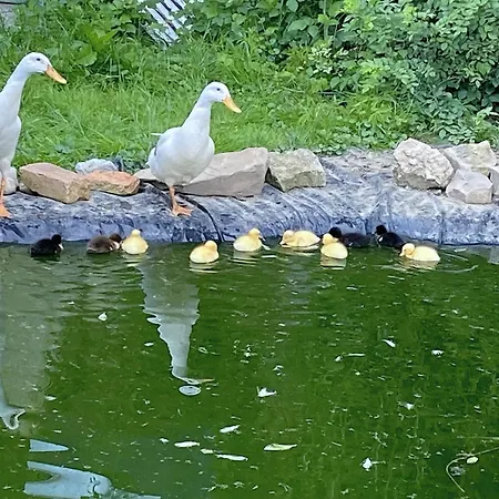 아파트 Idylle Am Bauernhof *