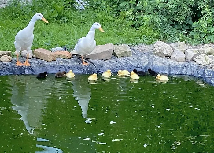 公寓 Idylle Am Bauernhof *